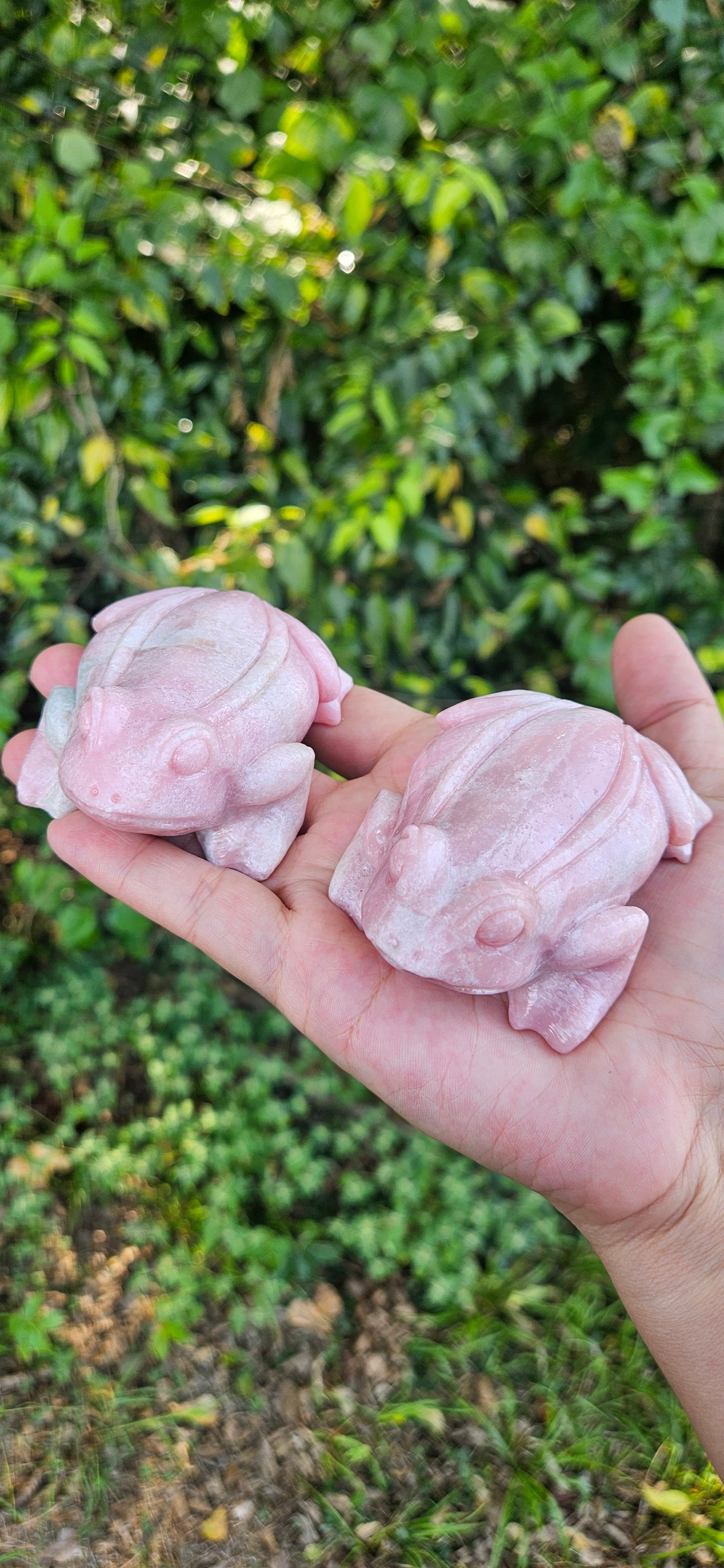 Pink Opal Frogs