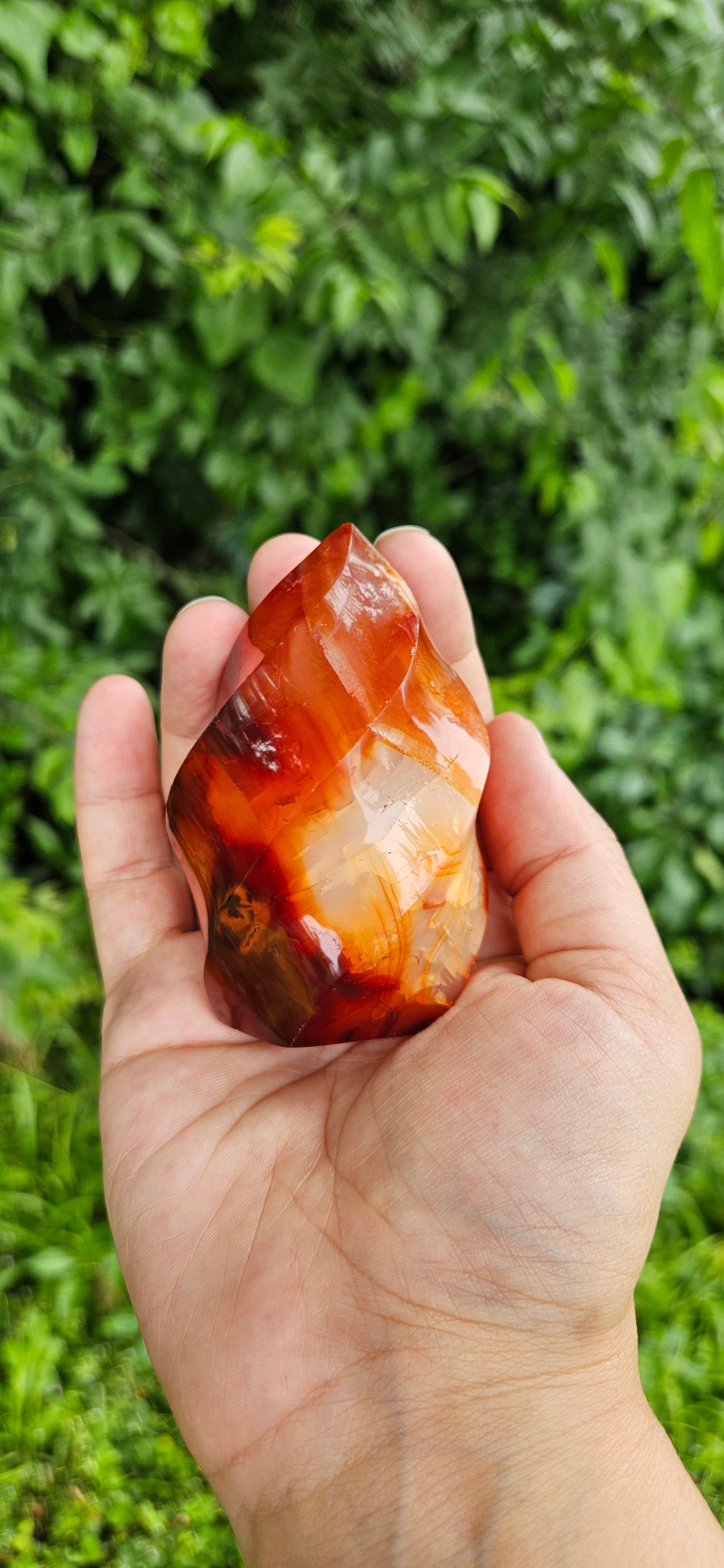 Carnelian Flames