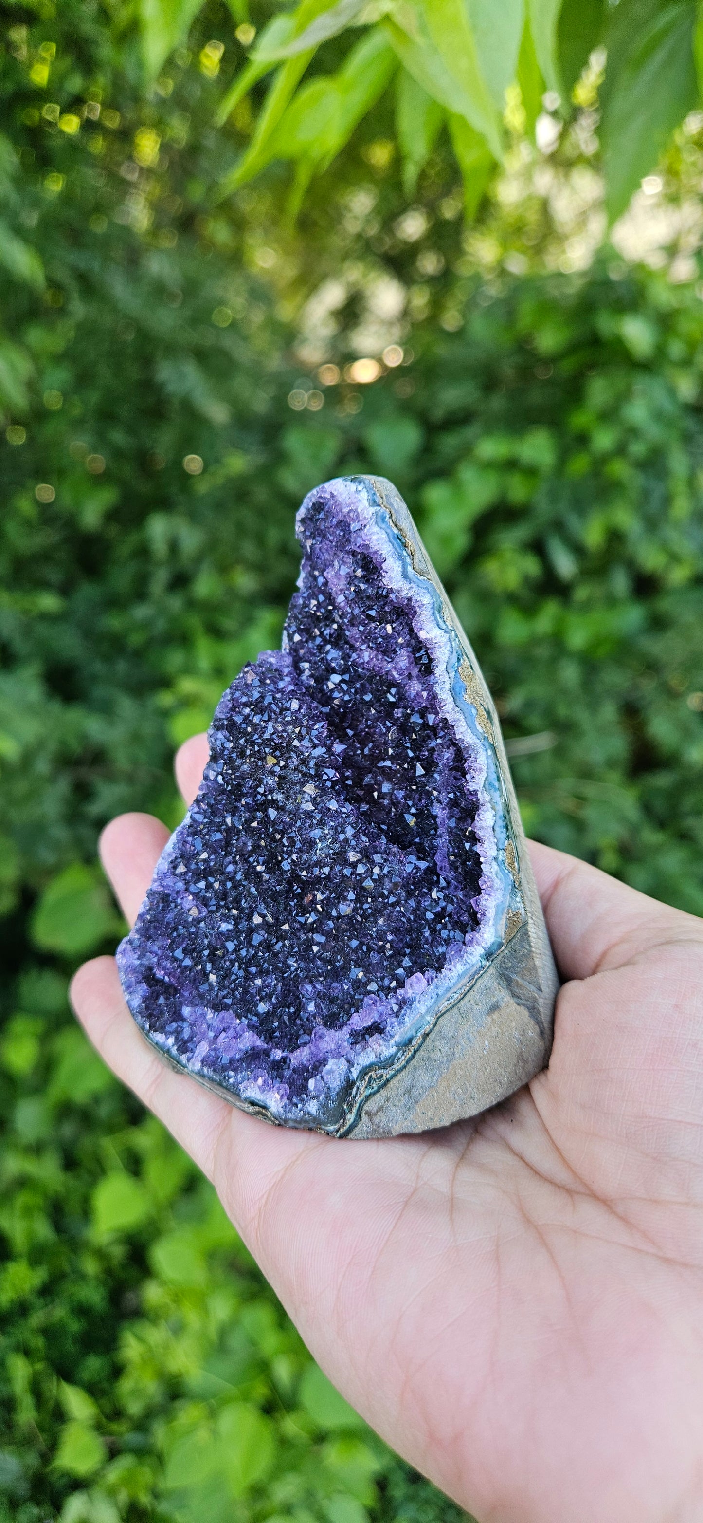 Amethyst Cluster (large)