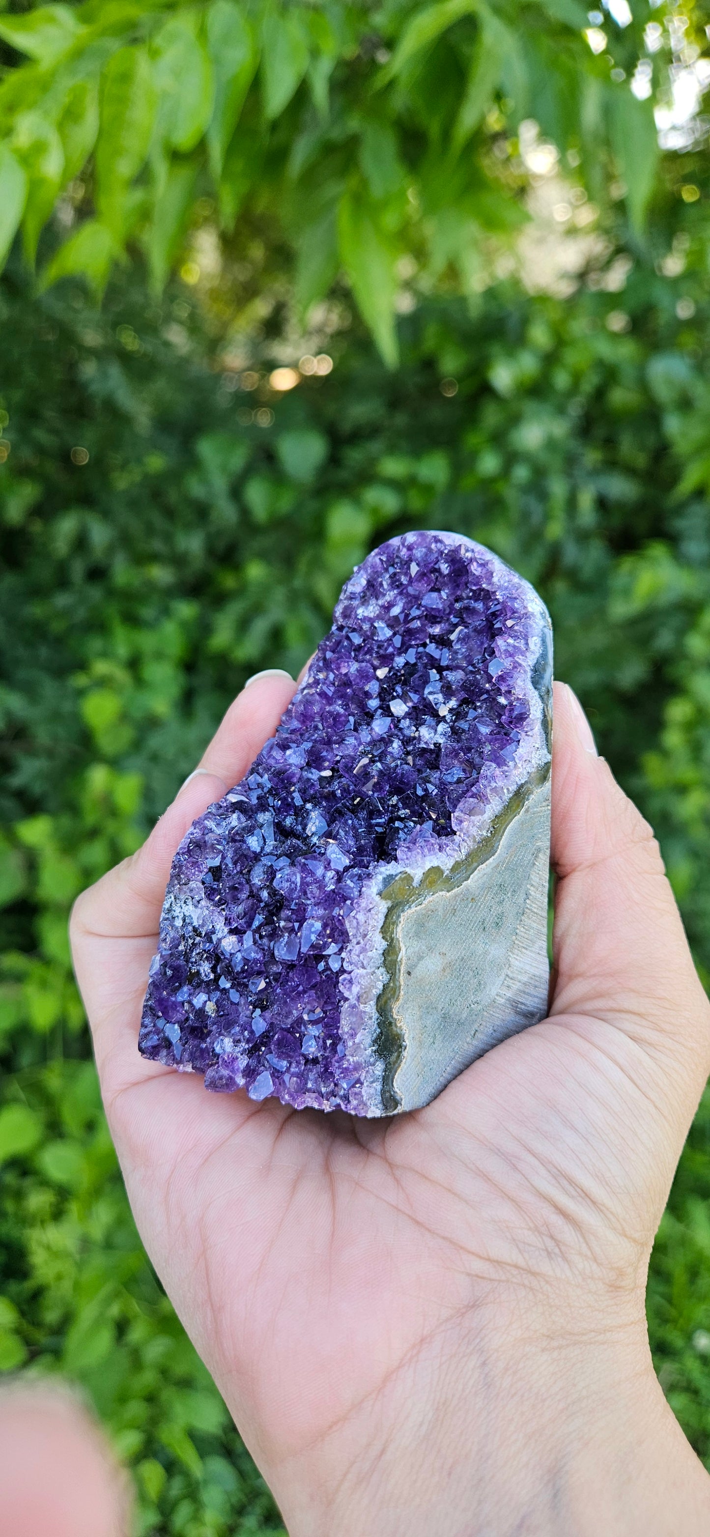 Amethyst Cluster (large)