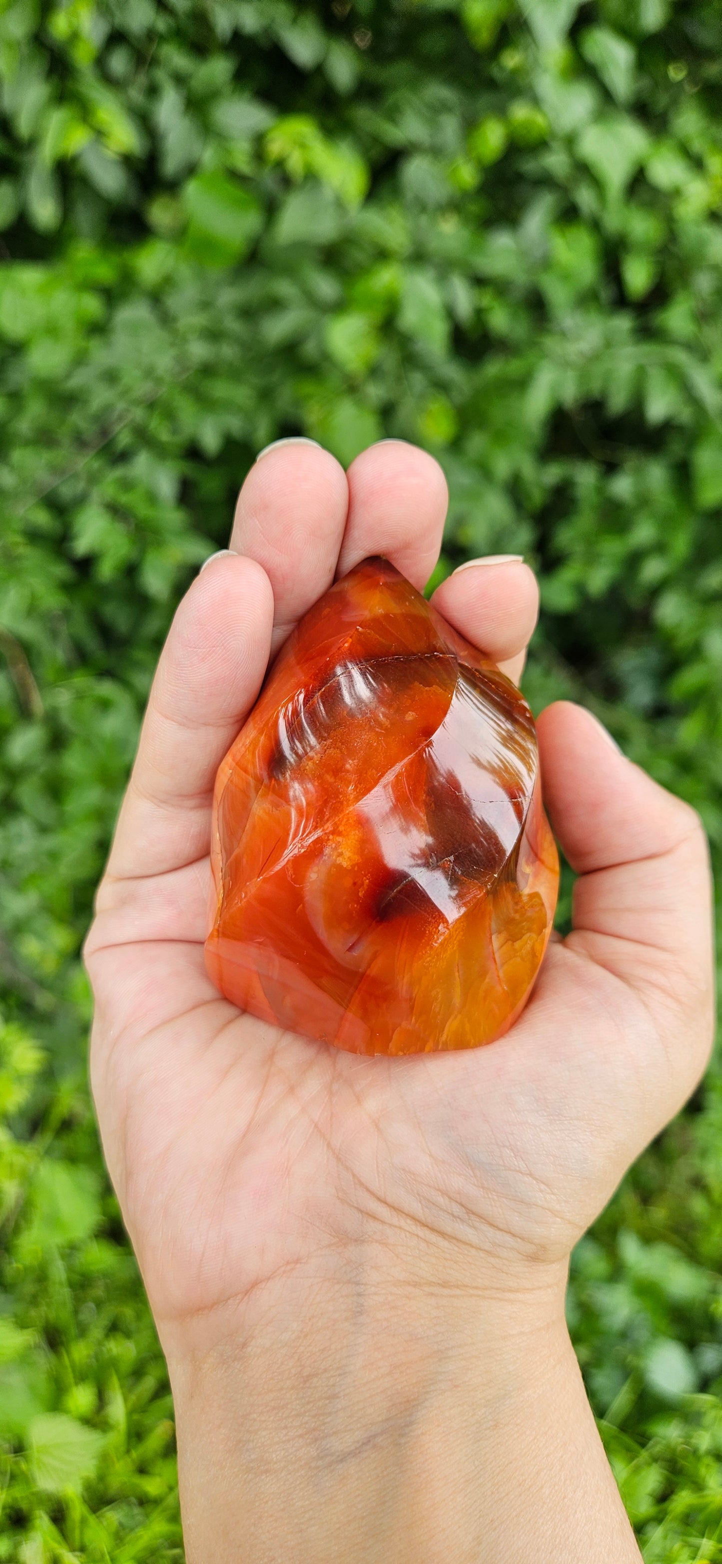 Carnelian Flames