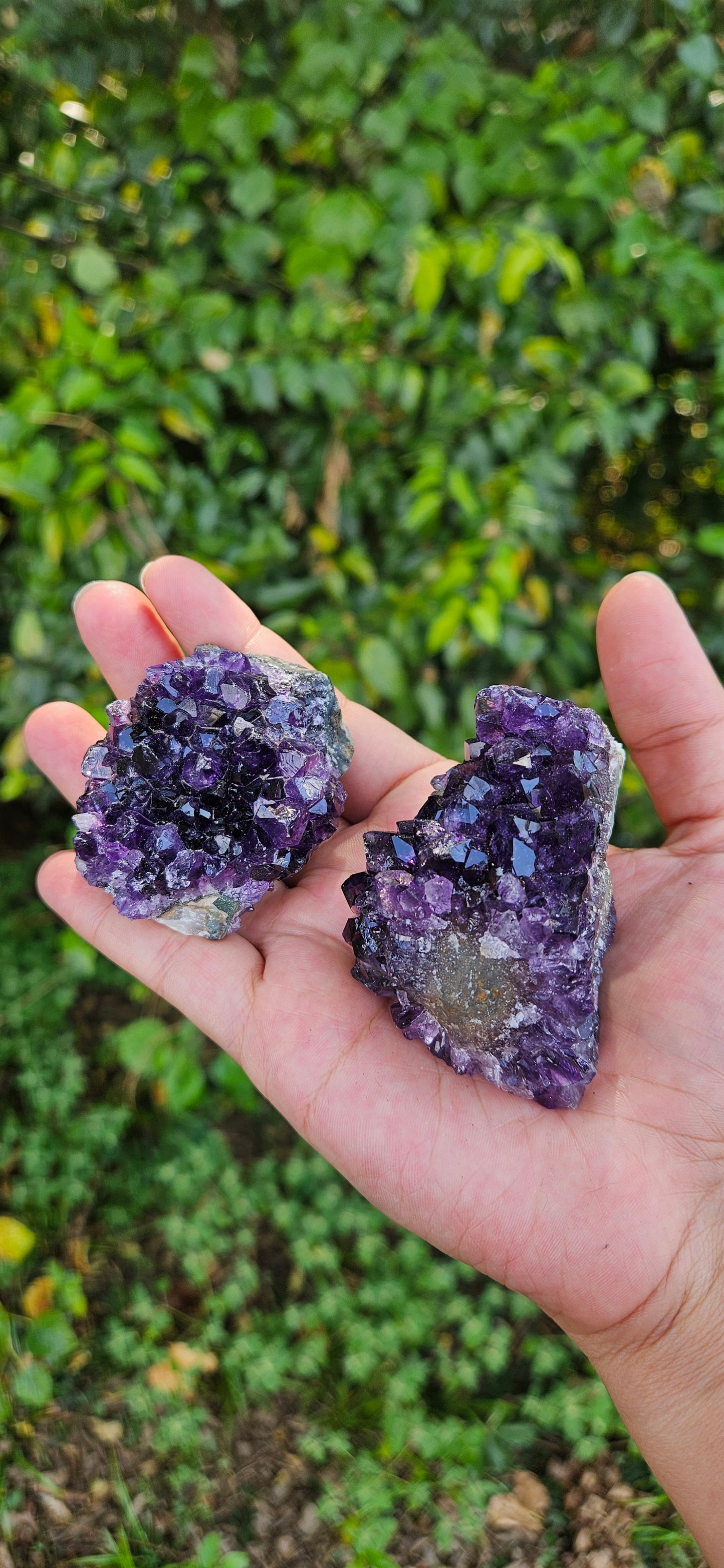 Amethyst Cluster (small)