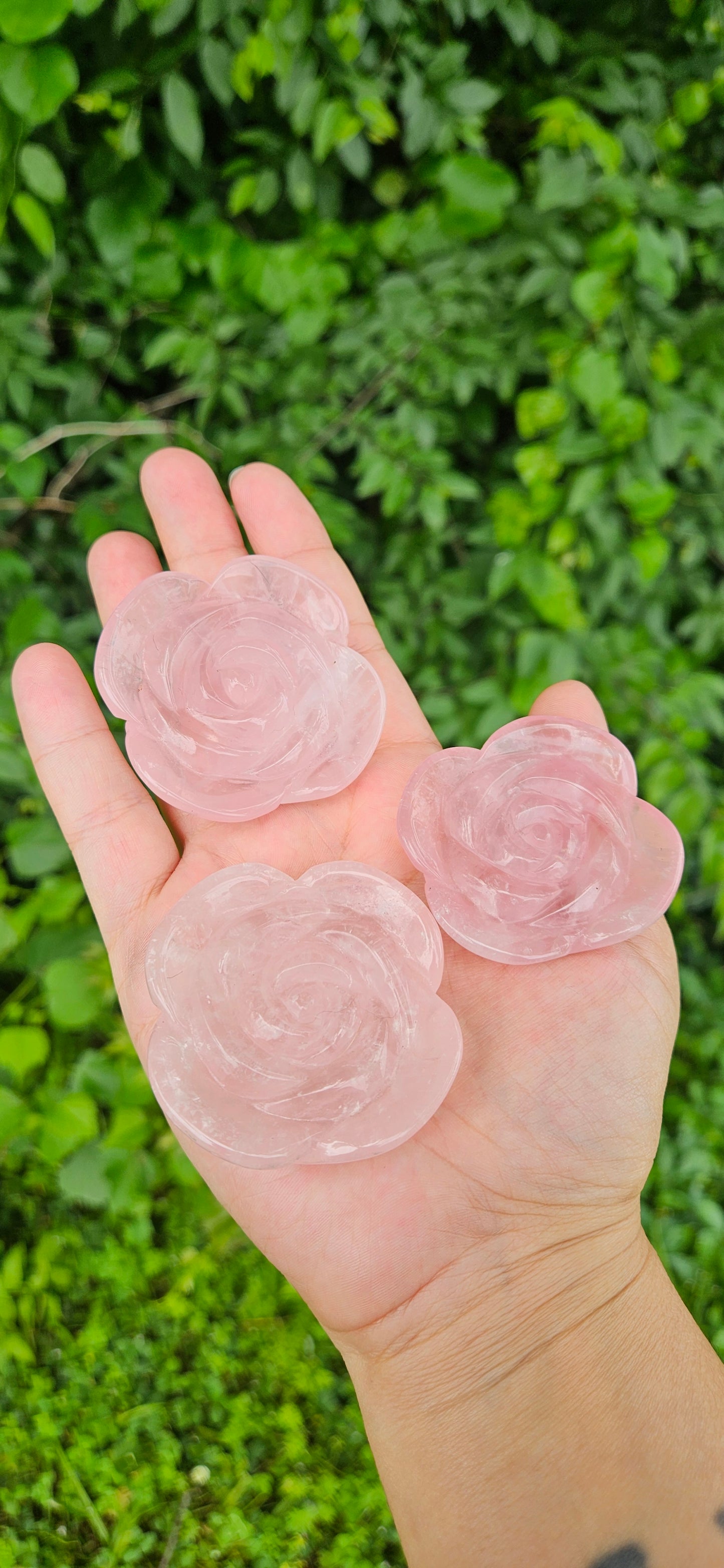 Rose Quartz Rose Palm Stones