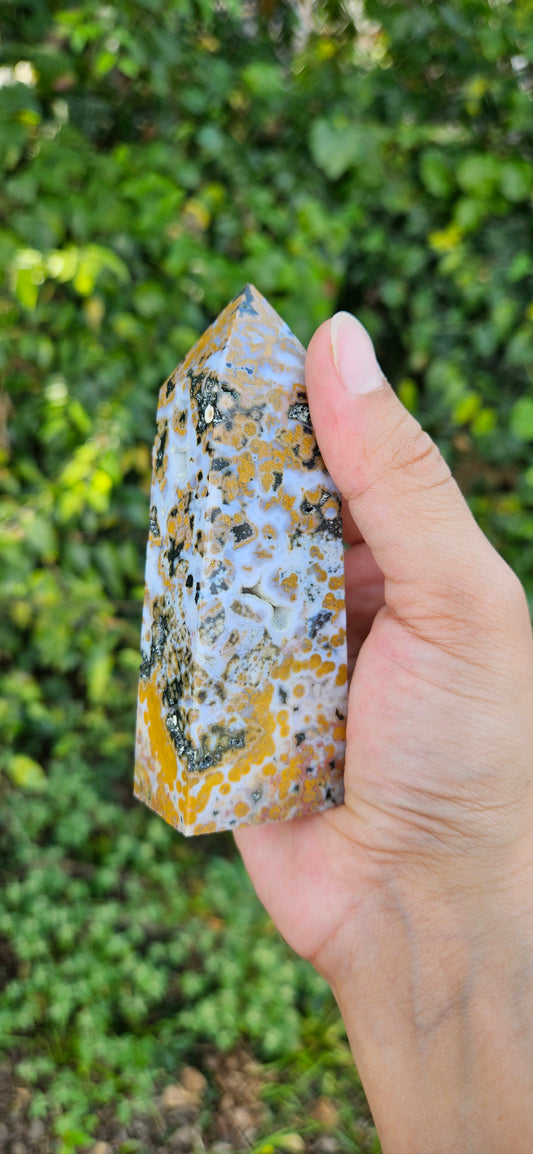 Ocean Jasper Tower