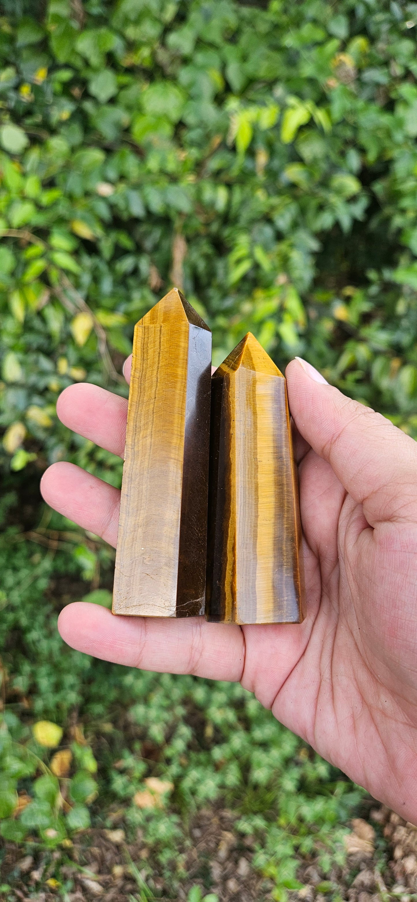 Tiger's Eye Towers