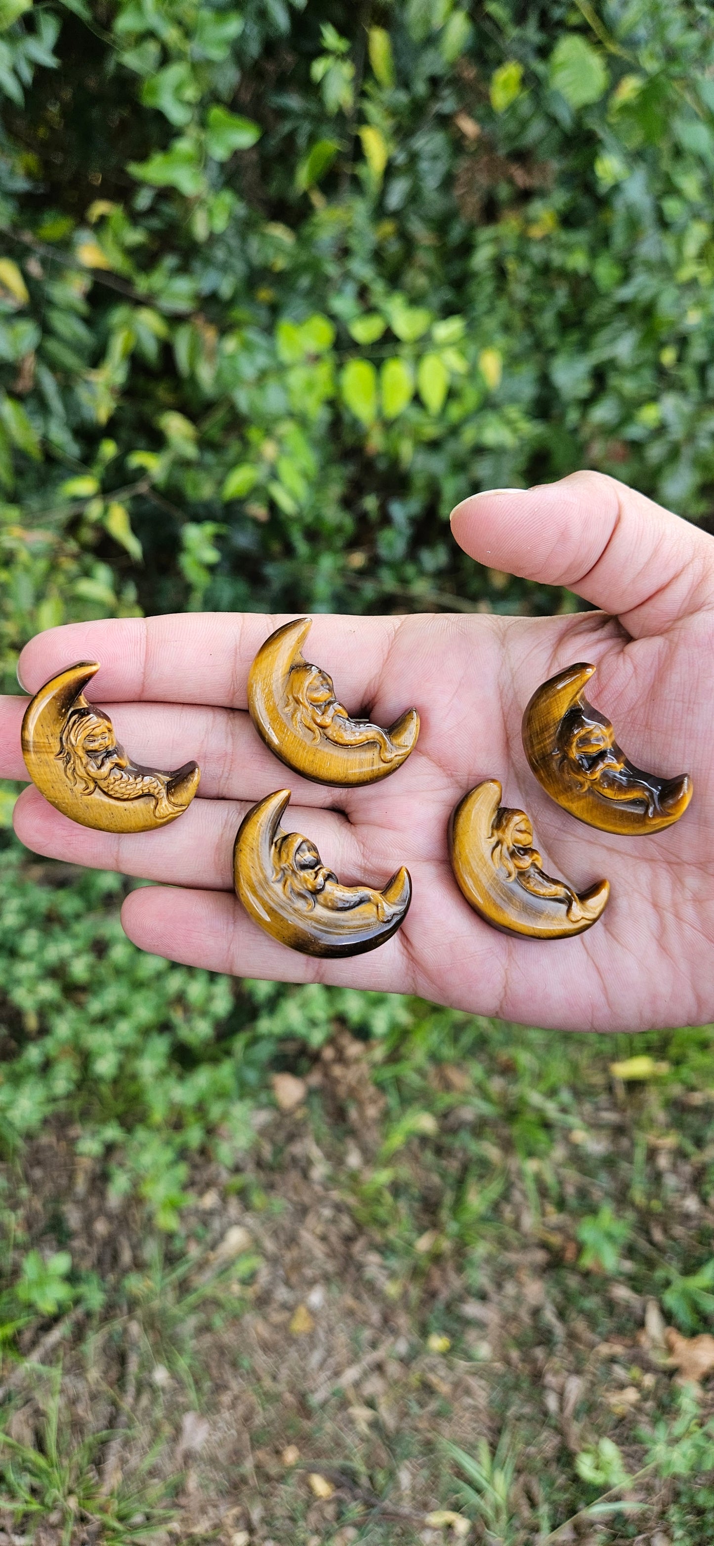 Tiger's Eye Mermaid/Moon Carvings