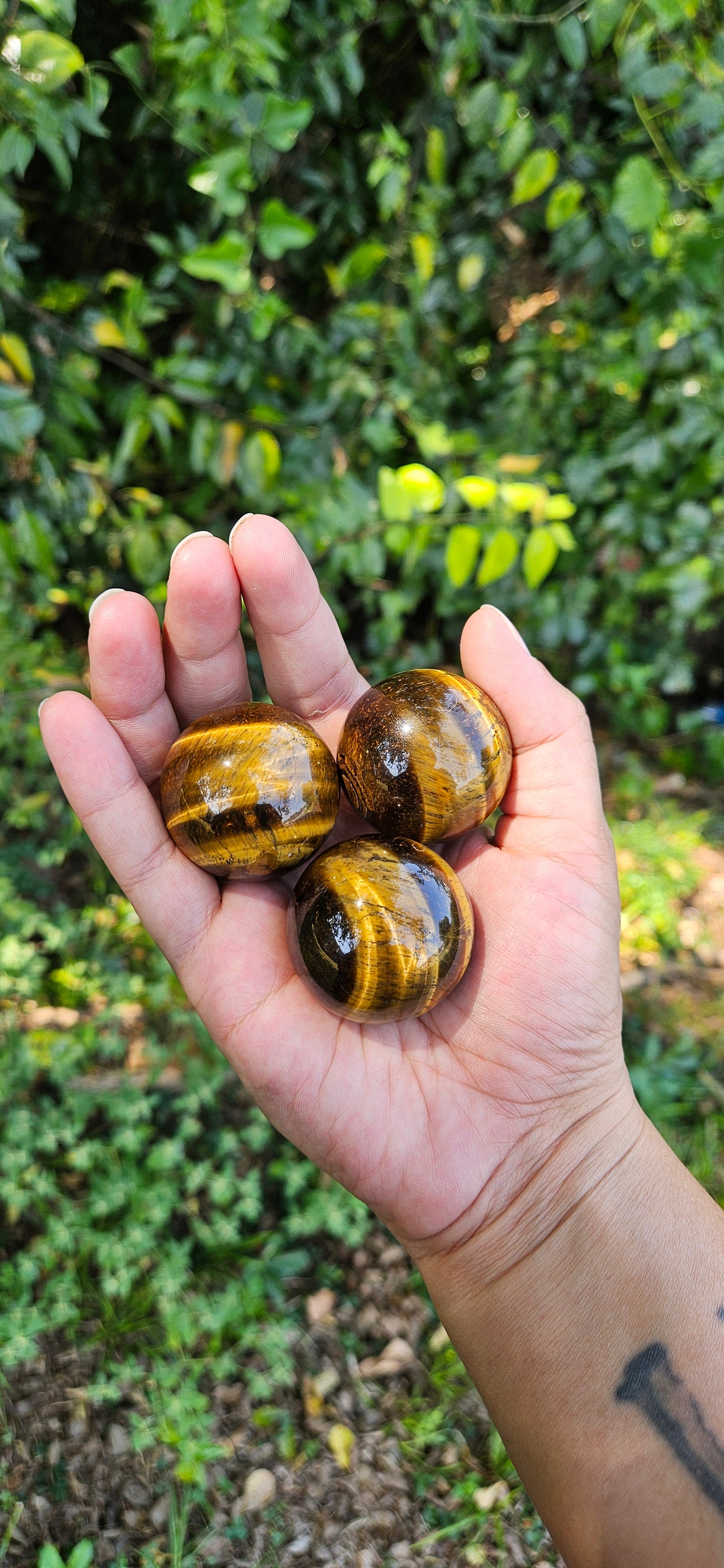 Tiger's Eye Spheres