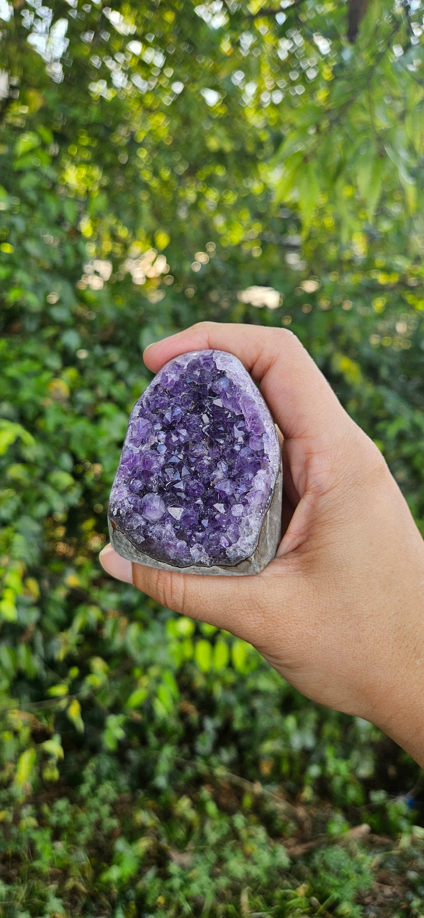 Amethyst Cluster (medium)