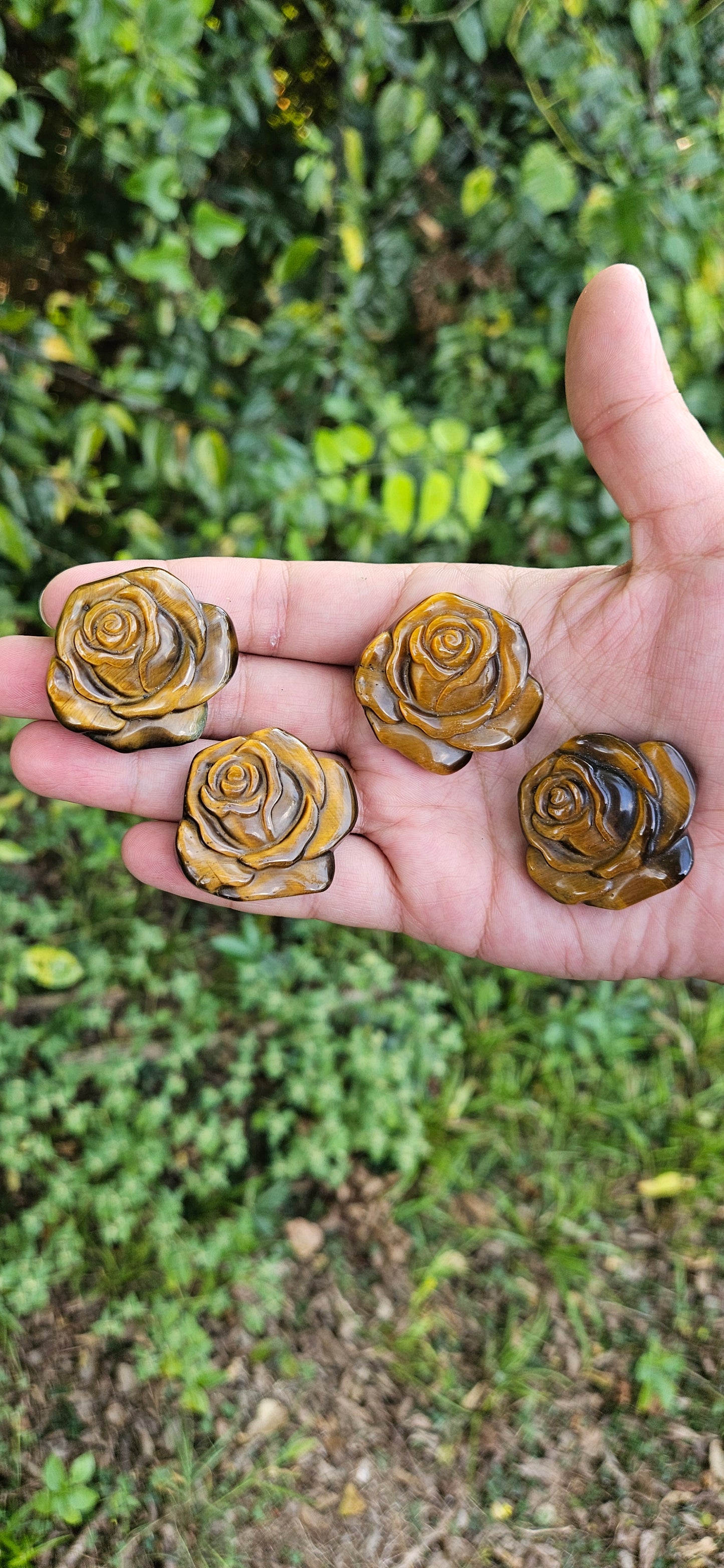 Tiger's Eye Rose Carvings