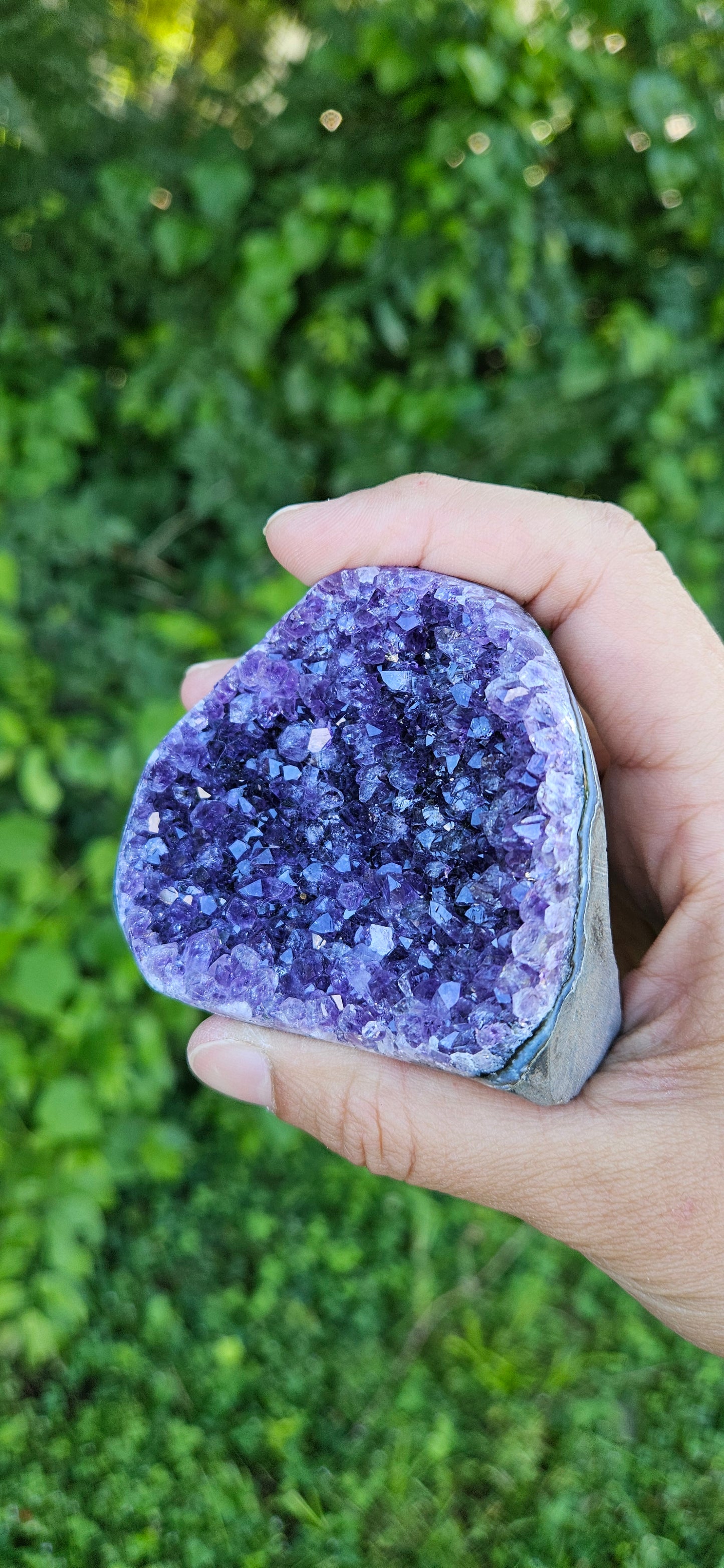 Amethyst Cluster (medium)