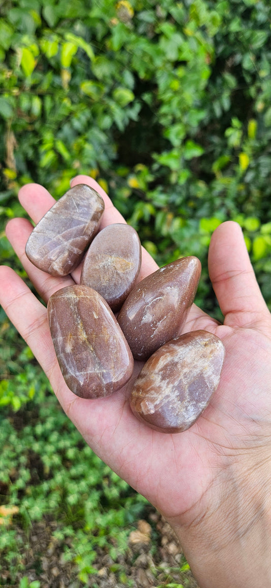 Sunstone Palm Stone