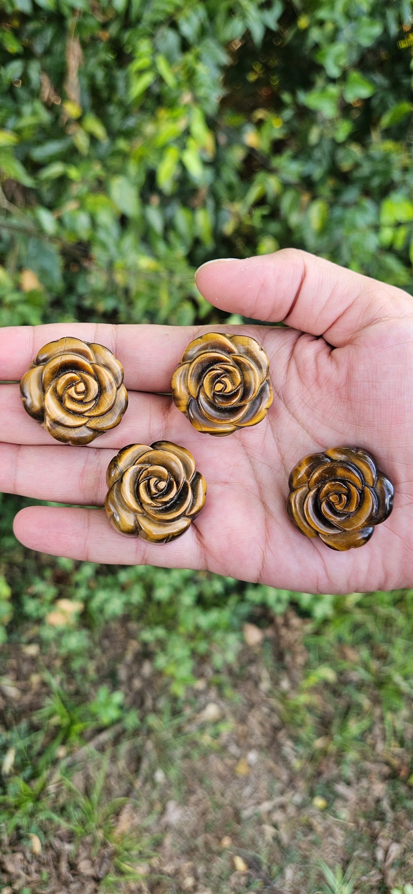 Tiger's Eye Rose Carvings