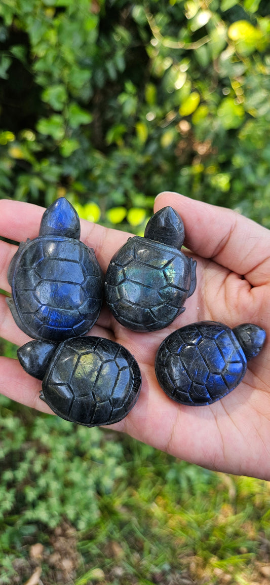 Labradorite Turtle Carving