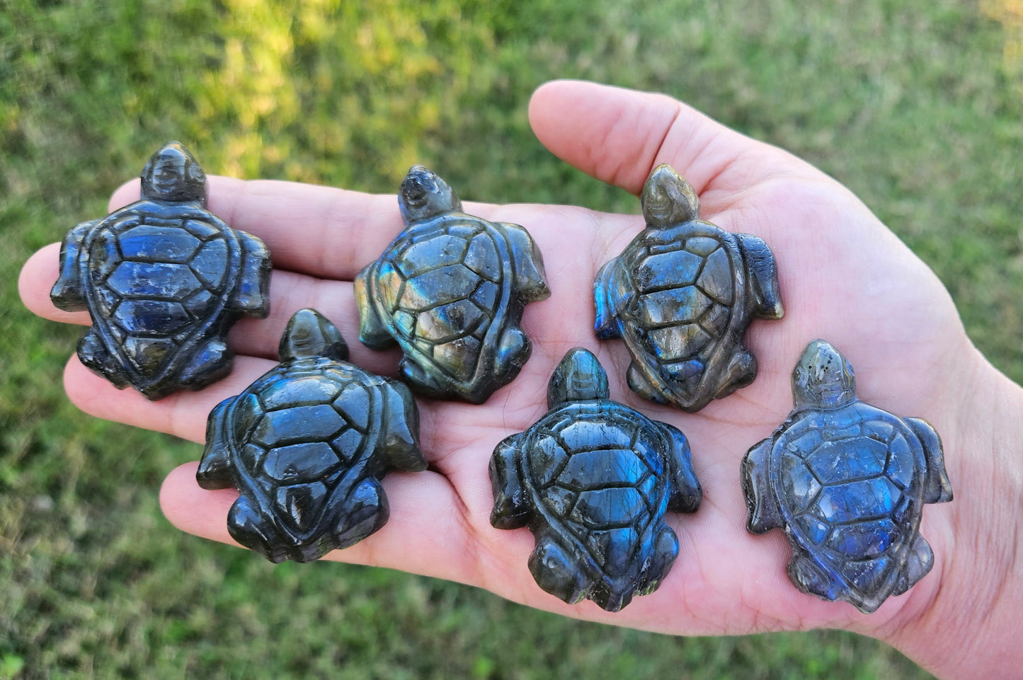 Labradorite Turtle Carving