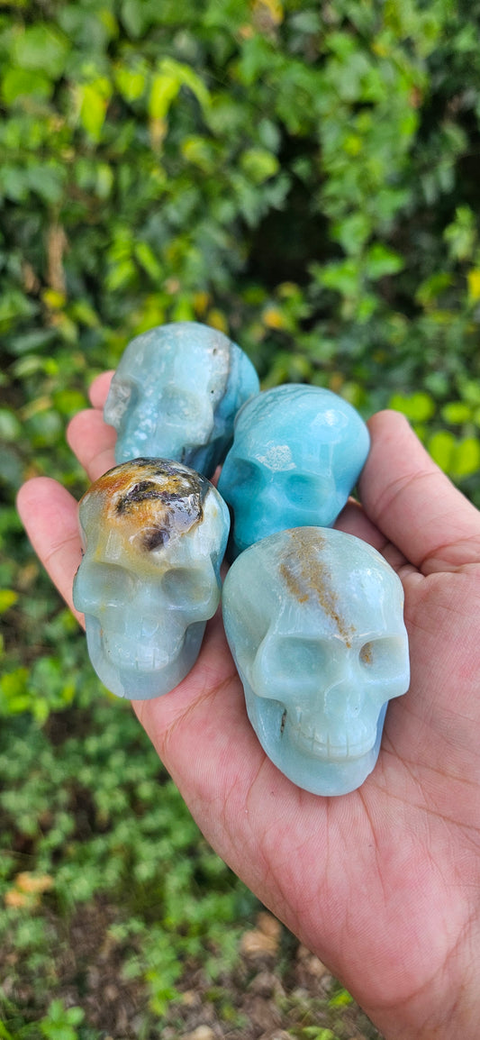 Caribbean Calcite Skull Carving