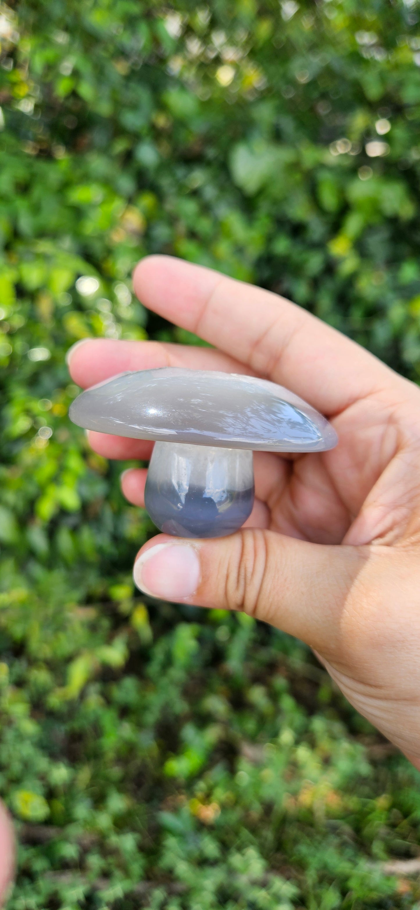 Druzy Agate Mushroom Carving (medium)