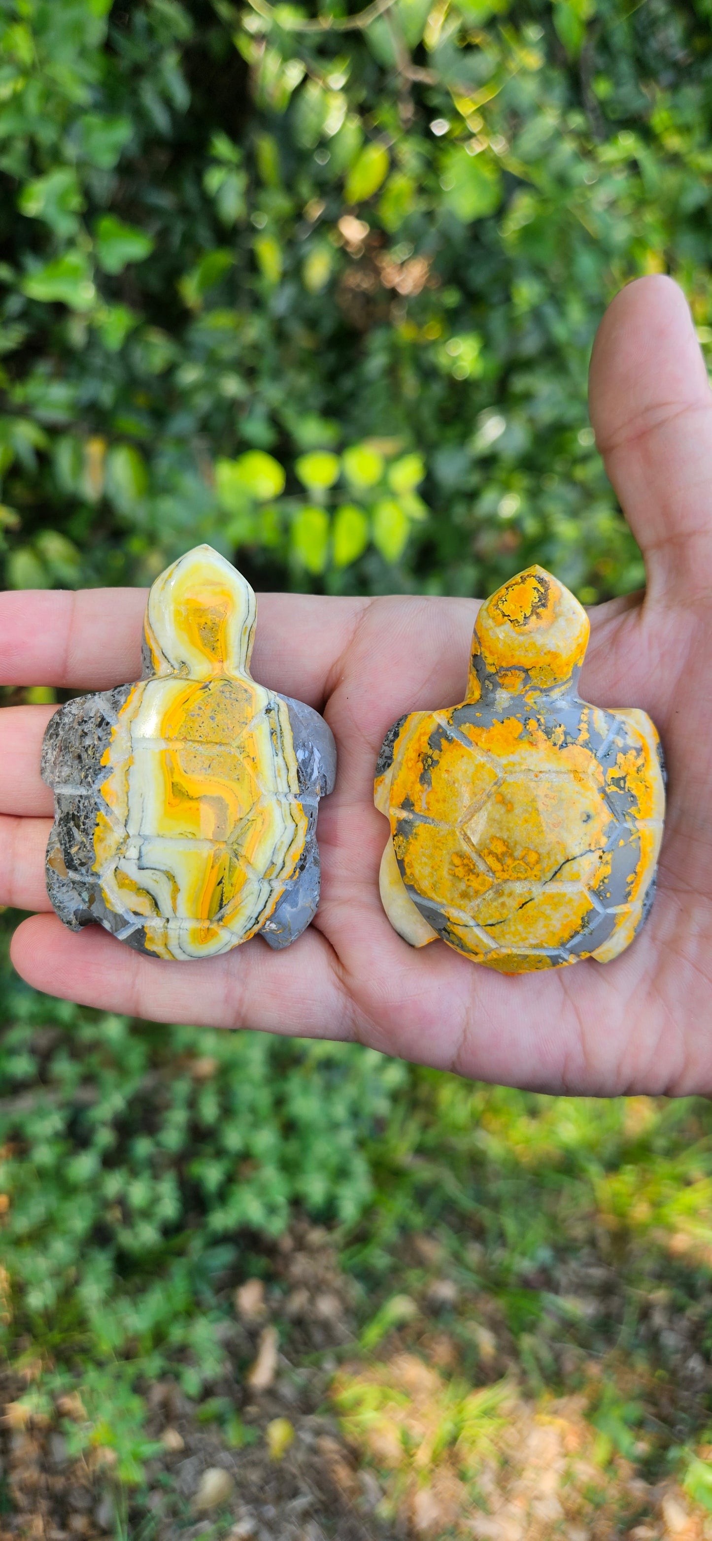 Bumblebee Jasper Turtle Carving