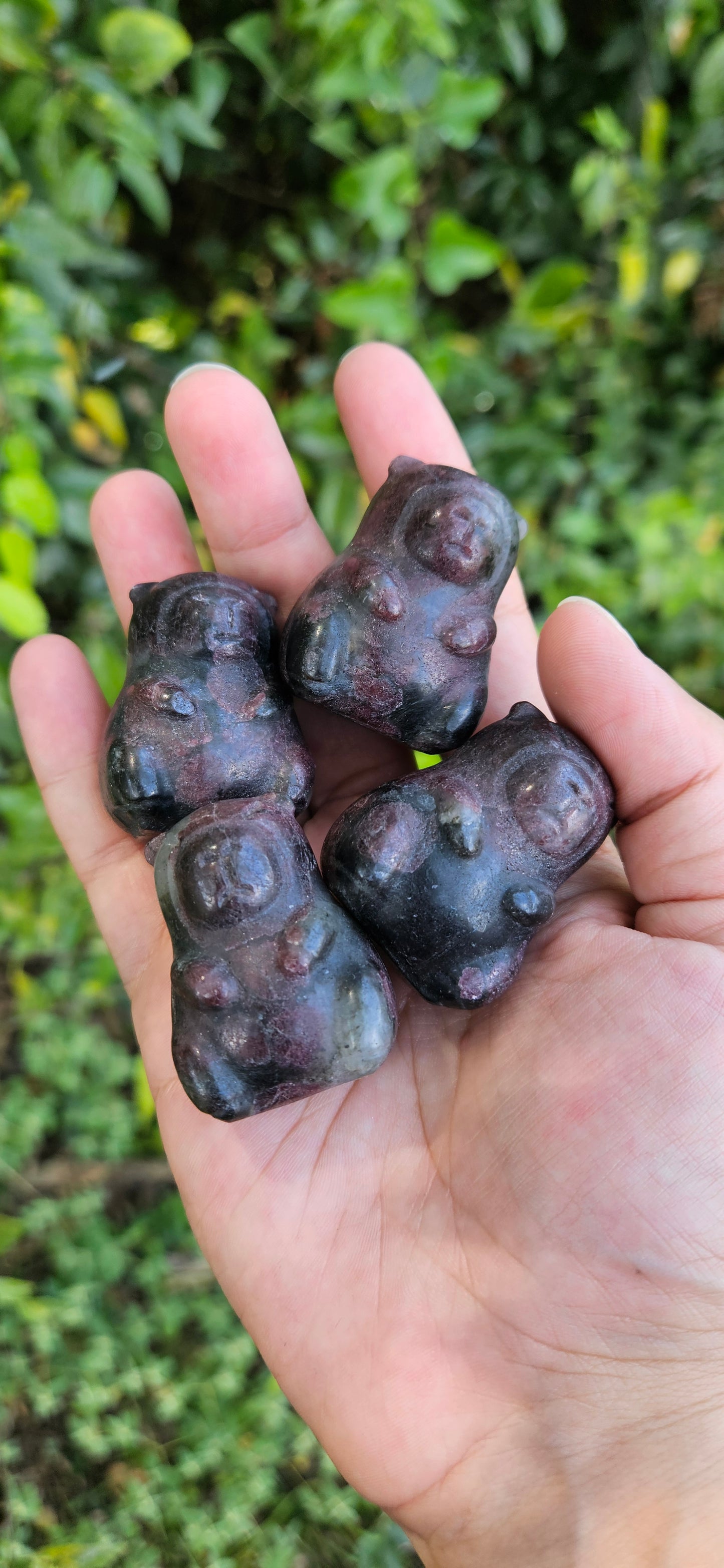Garnet Capybara Carving