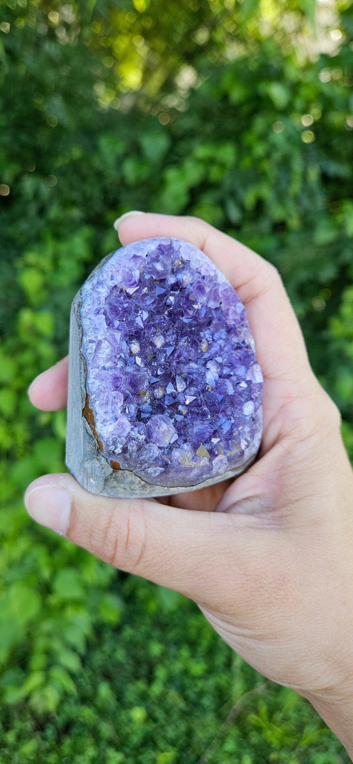 Amethyst Cluster (medium)
