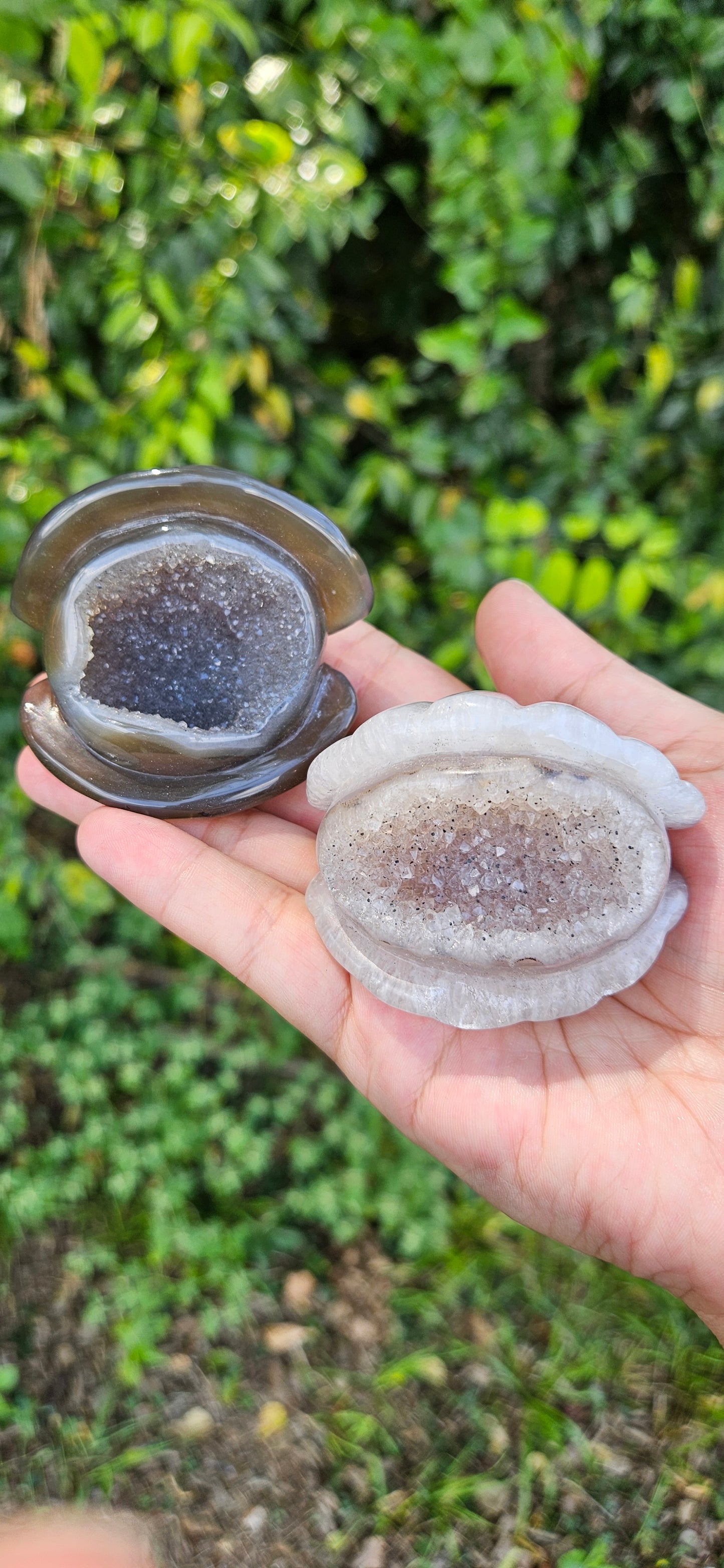 Druzy Agate Clam Carving (large)