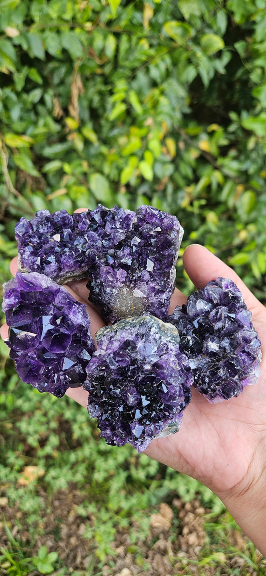 Amethyst Cluster (small)