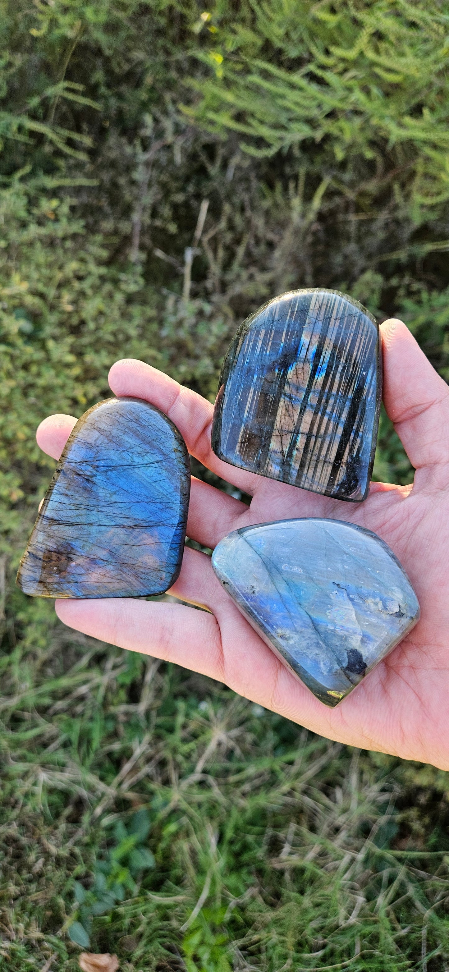 Labradorite Freeform (small)