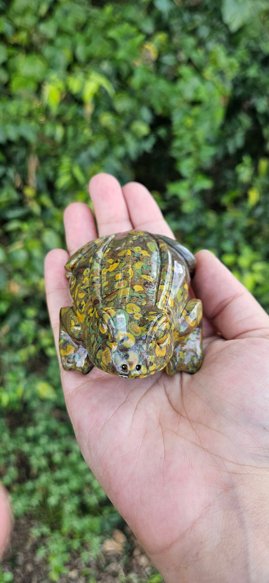 Ajooba/Fruit Jasper Frog Carving