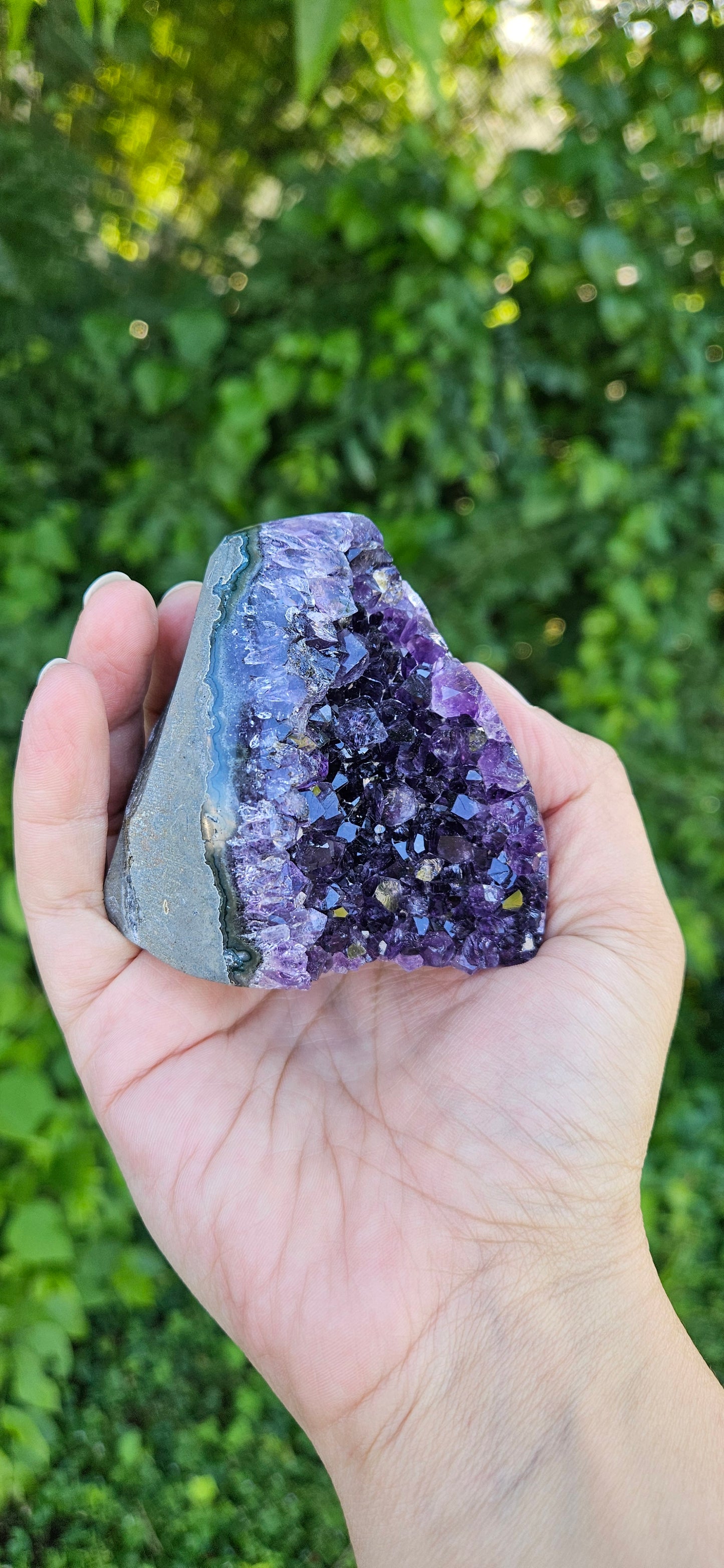 Amethyst Cluster (medium)