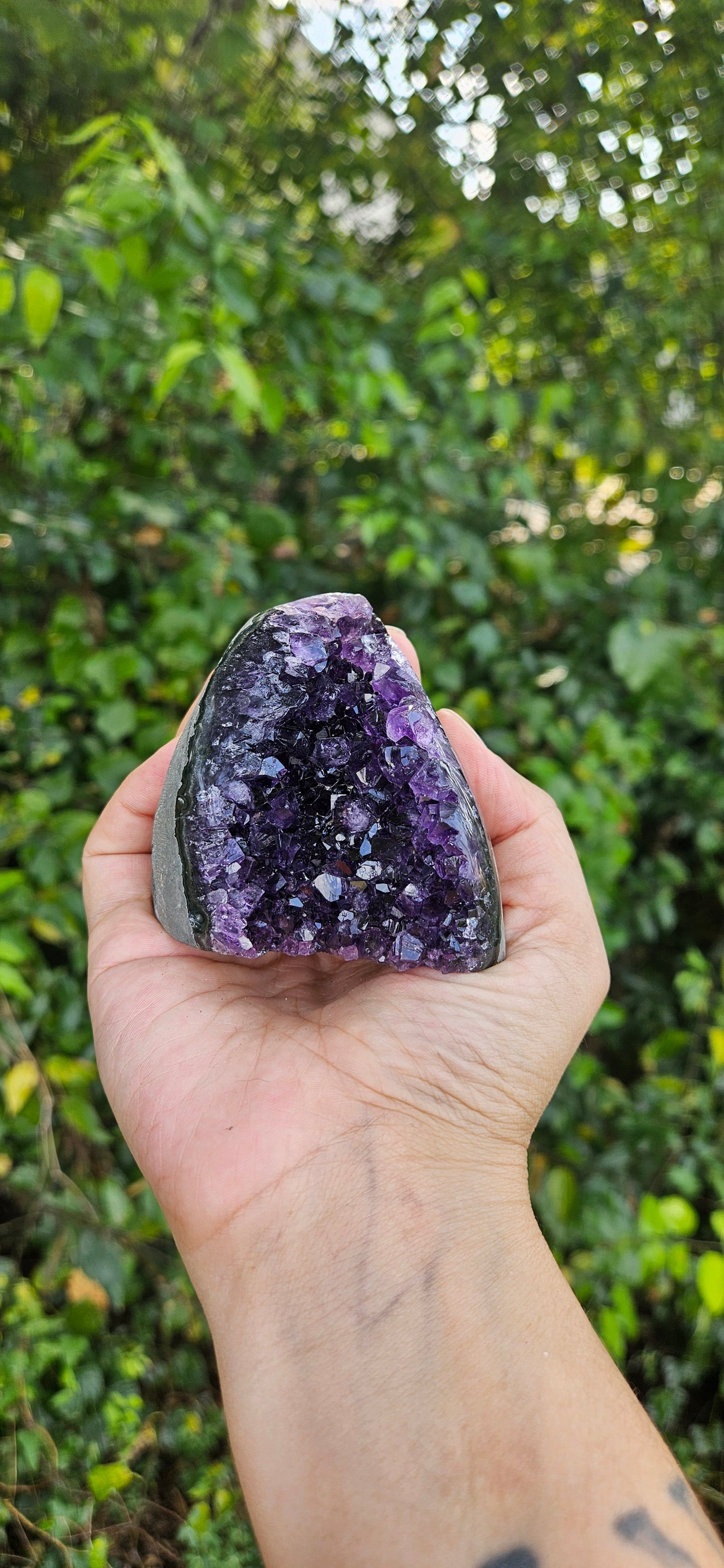 Amethyst Cluster (medium)