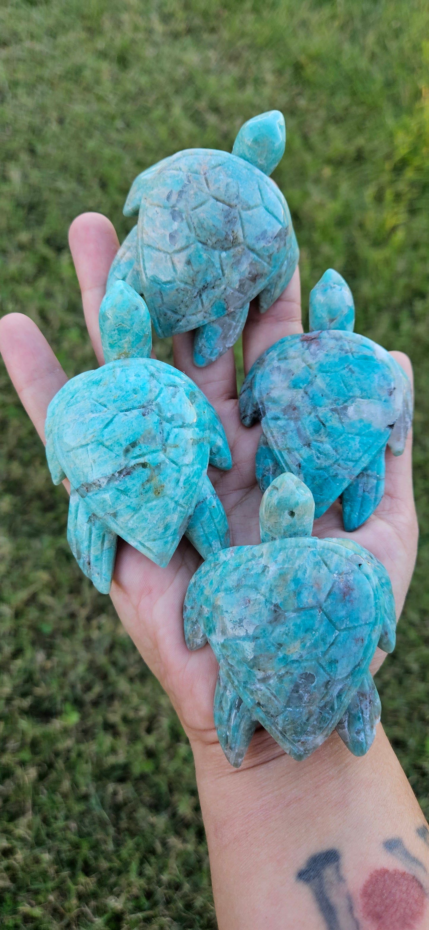 Amazonite Turtle Carving
